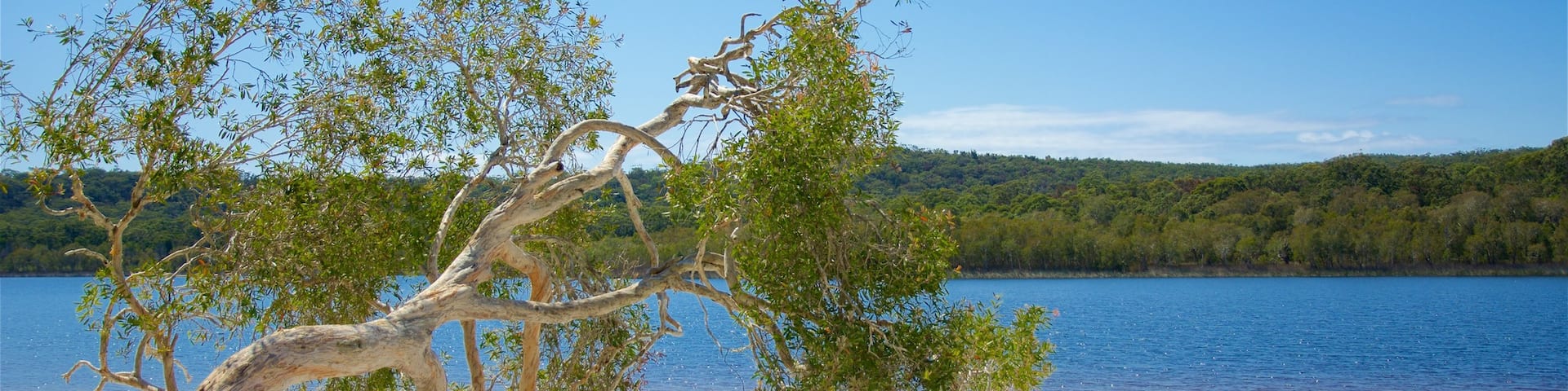 Brown Lake Conservation Area