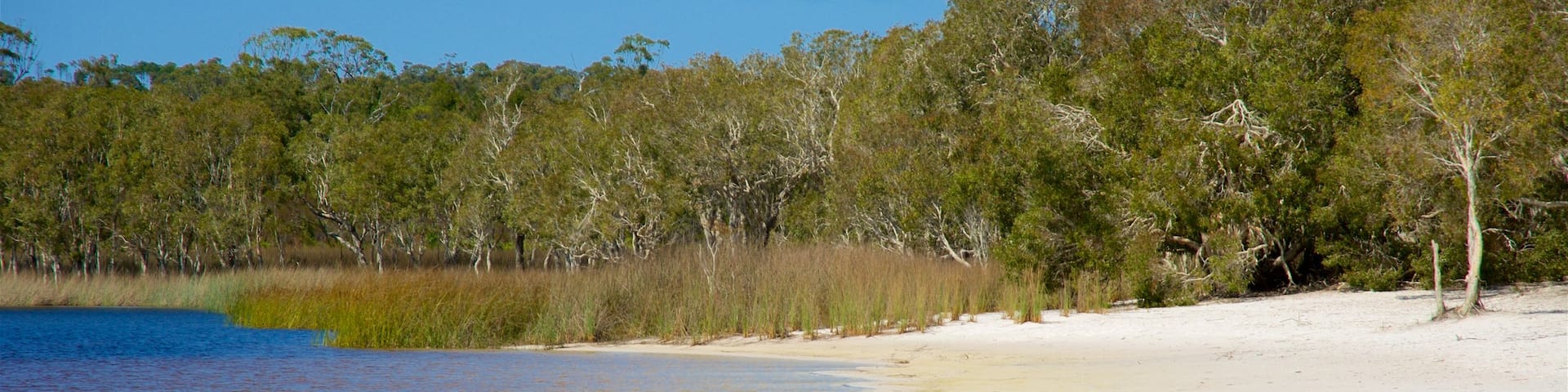 Brown Lake Conservation Area