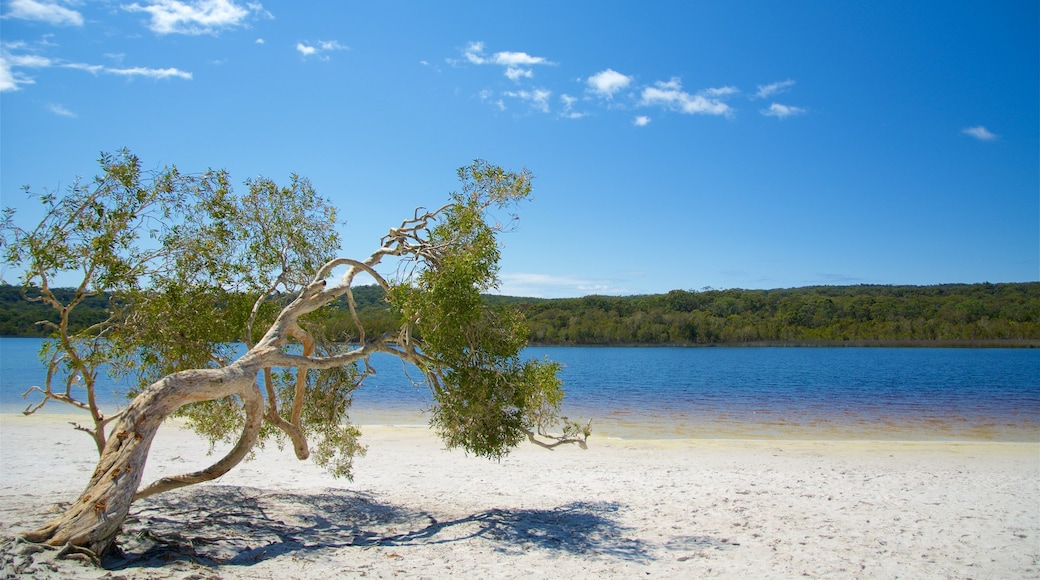 Brown Lake Conservation Area