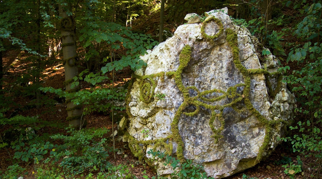 Jardín Botánico de Neuchâtel