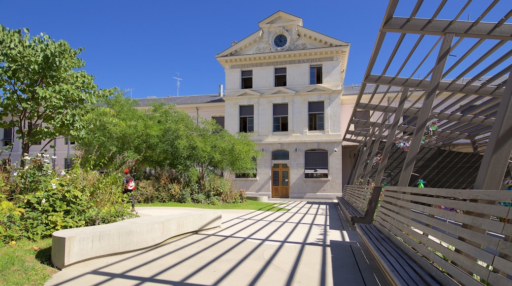 Museum of Ethnography Geneva which includes a garden