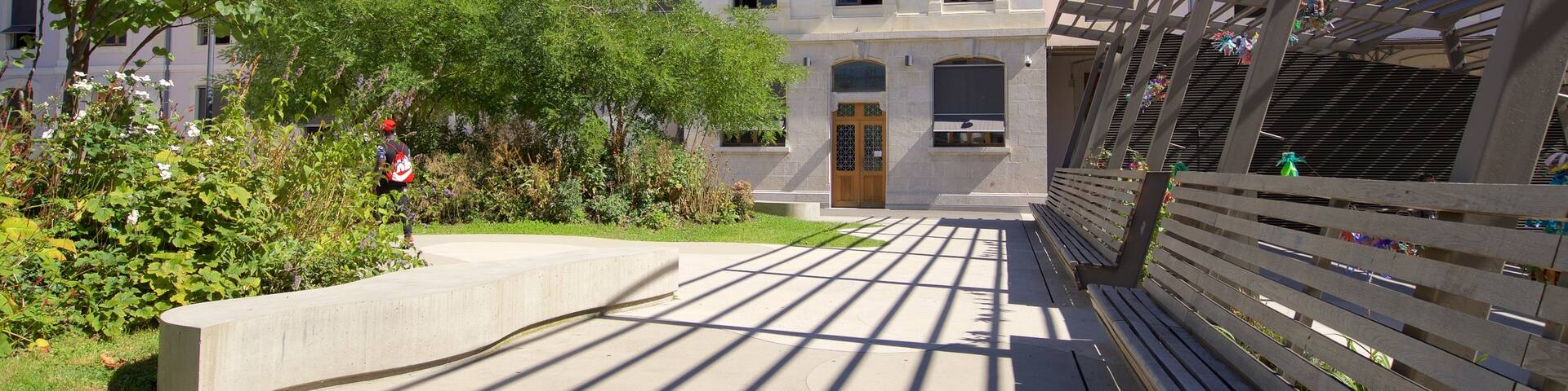 Museum of Ethnography Geneva presenterar en park