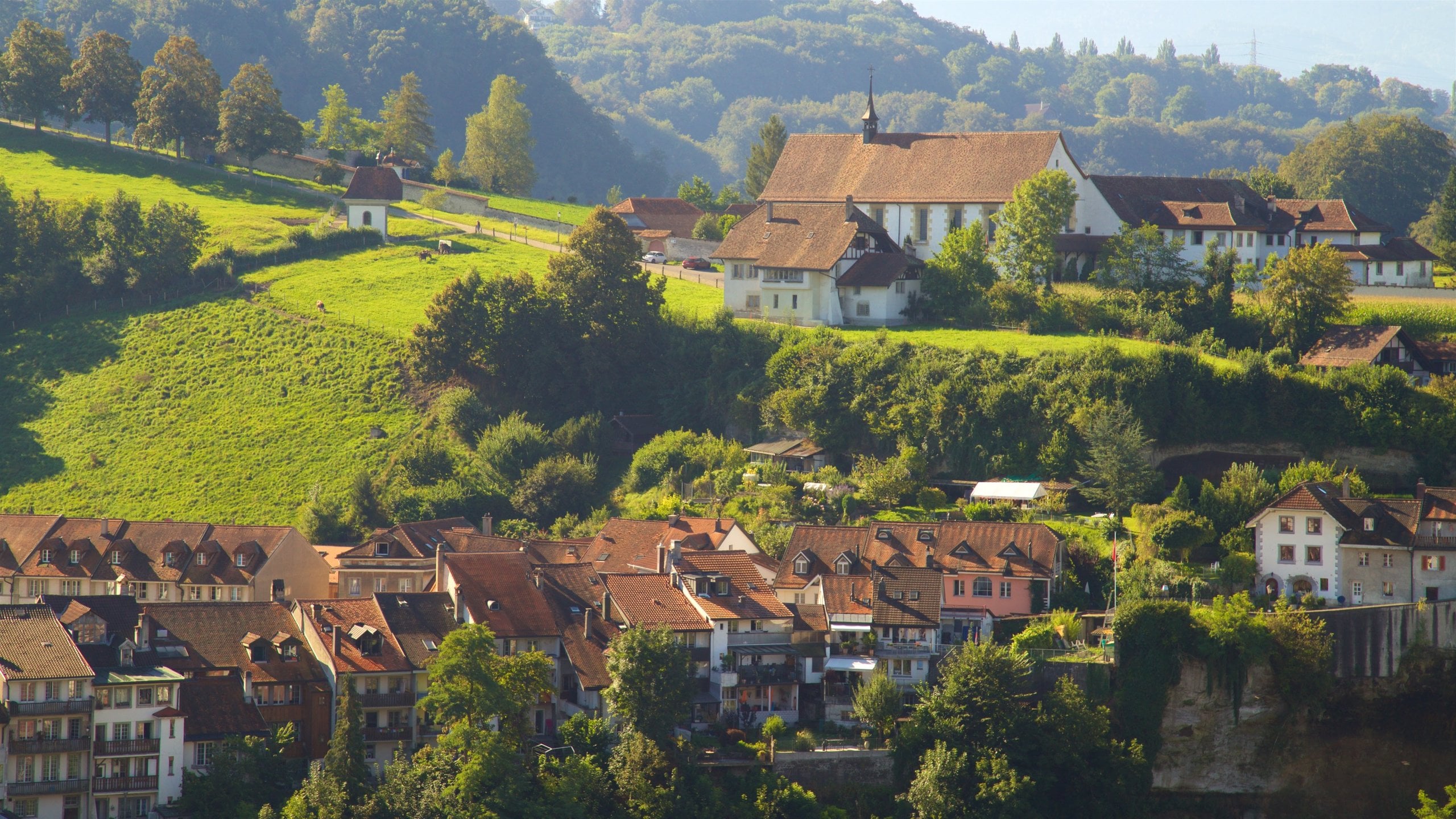 Fribourg showing landscape views and a small town or village