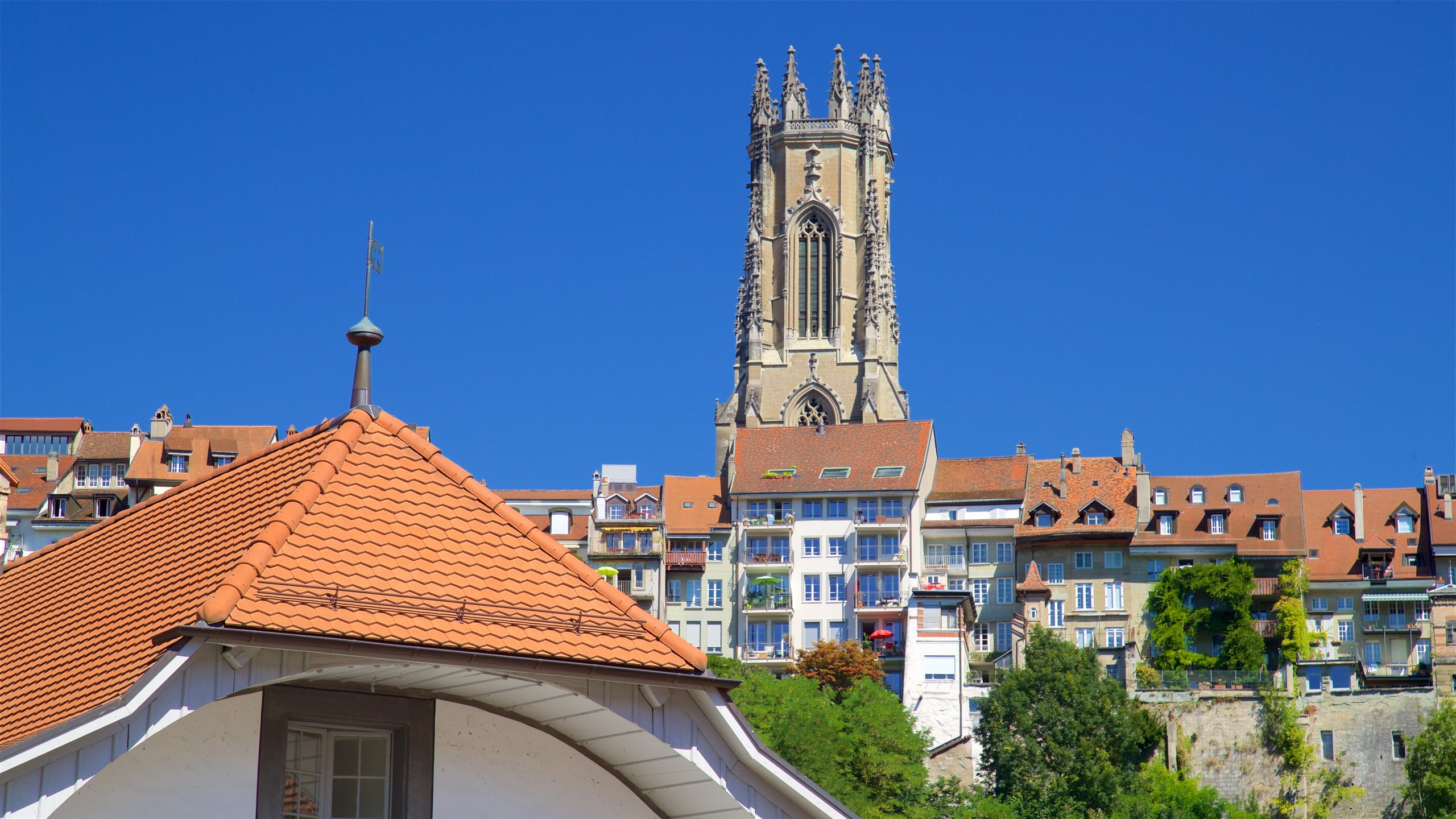 Visit Charmey: 2024 Travel Guide for Charmey, Canton of Fribourg