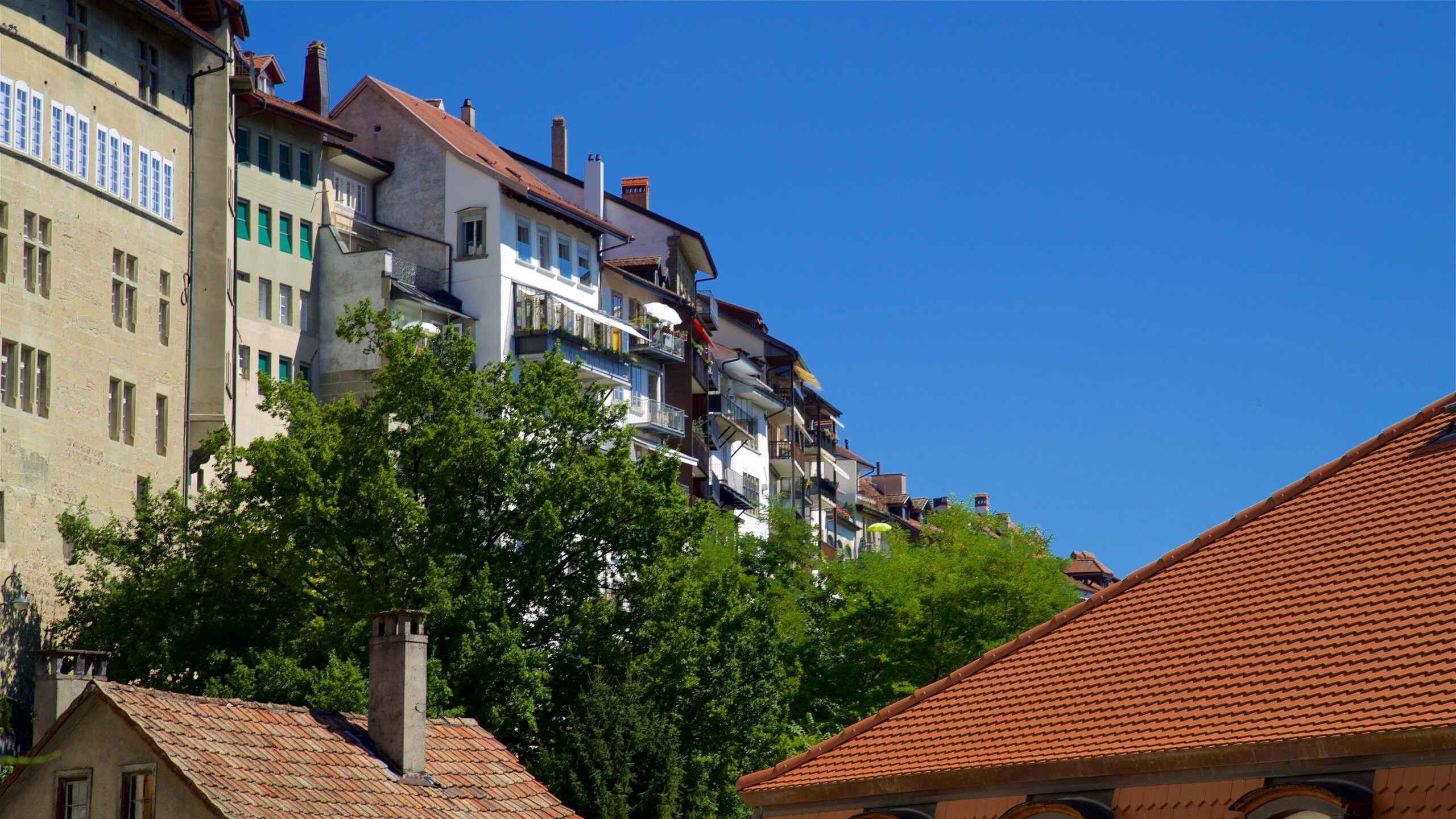 Fribourg