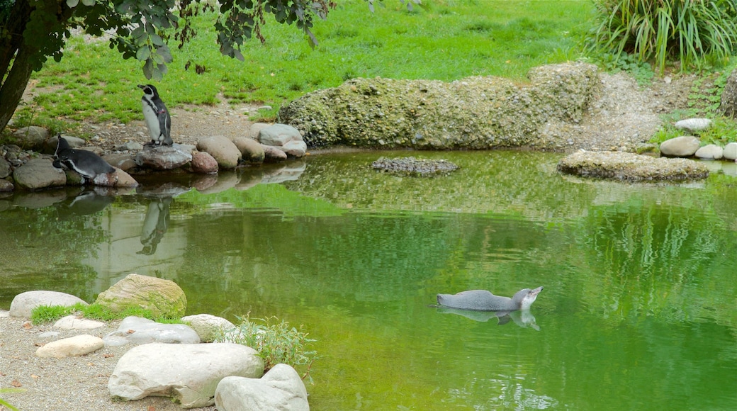 Zoo Zürich