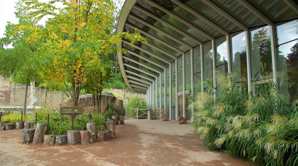Kebun Binatang Zurich