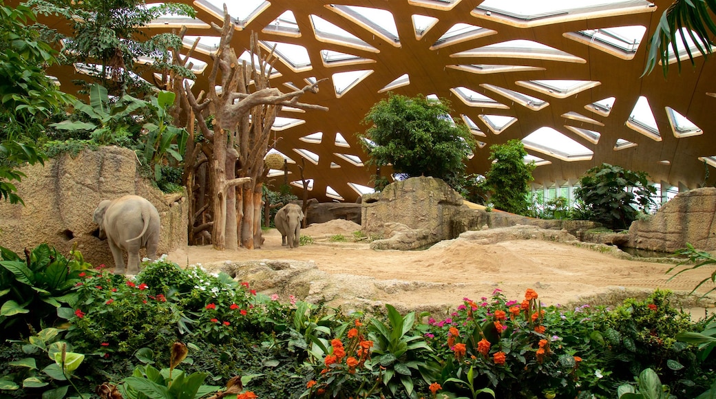 Kebun Binatang Zurich