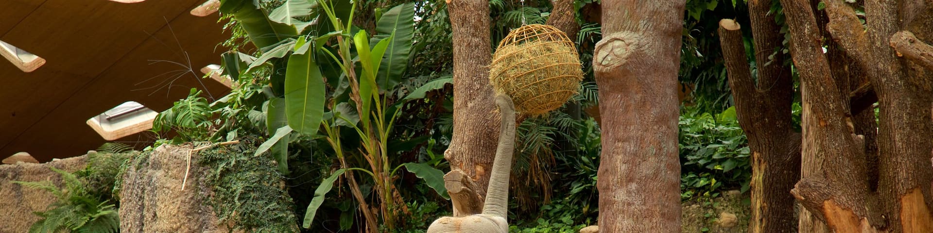 Zoo Zurich