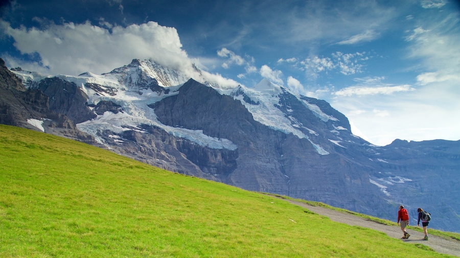Swiss Alps featuring tranquil scenes, hiking or walking and mountains