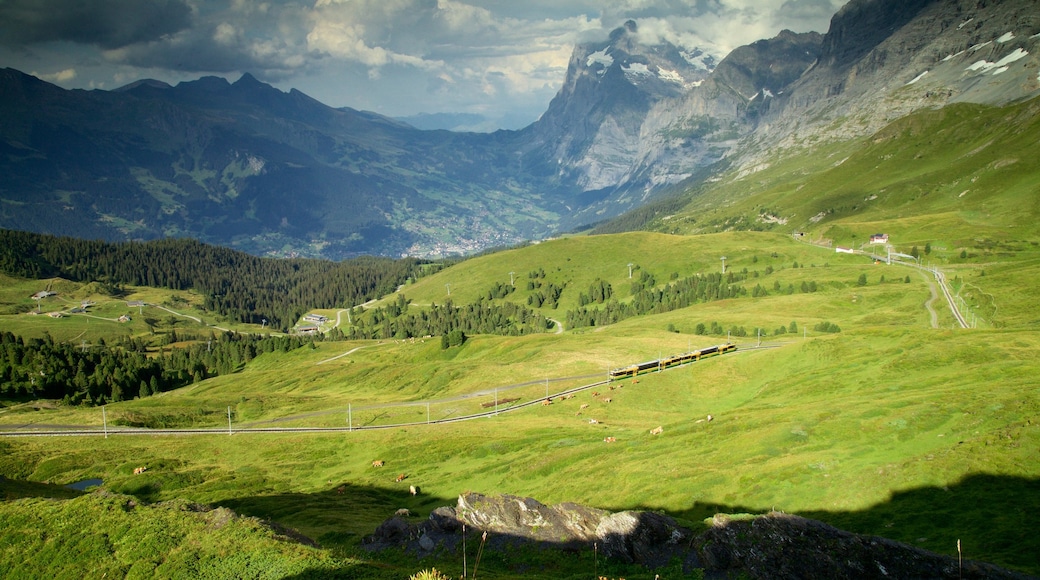 Kleine Scheidegg