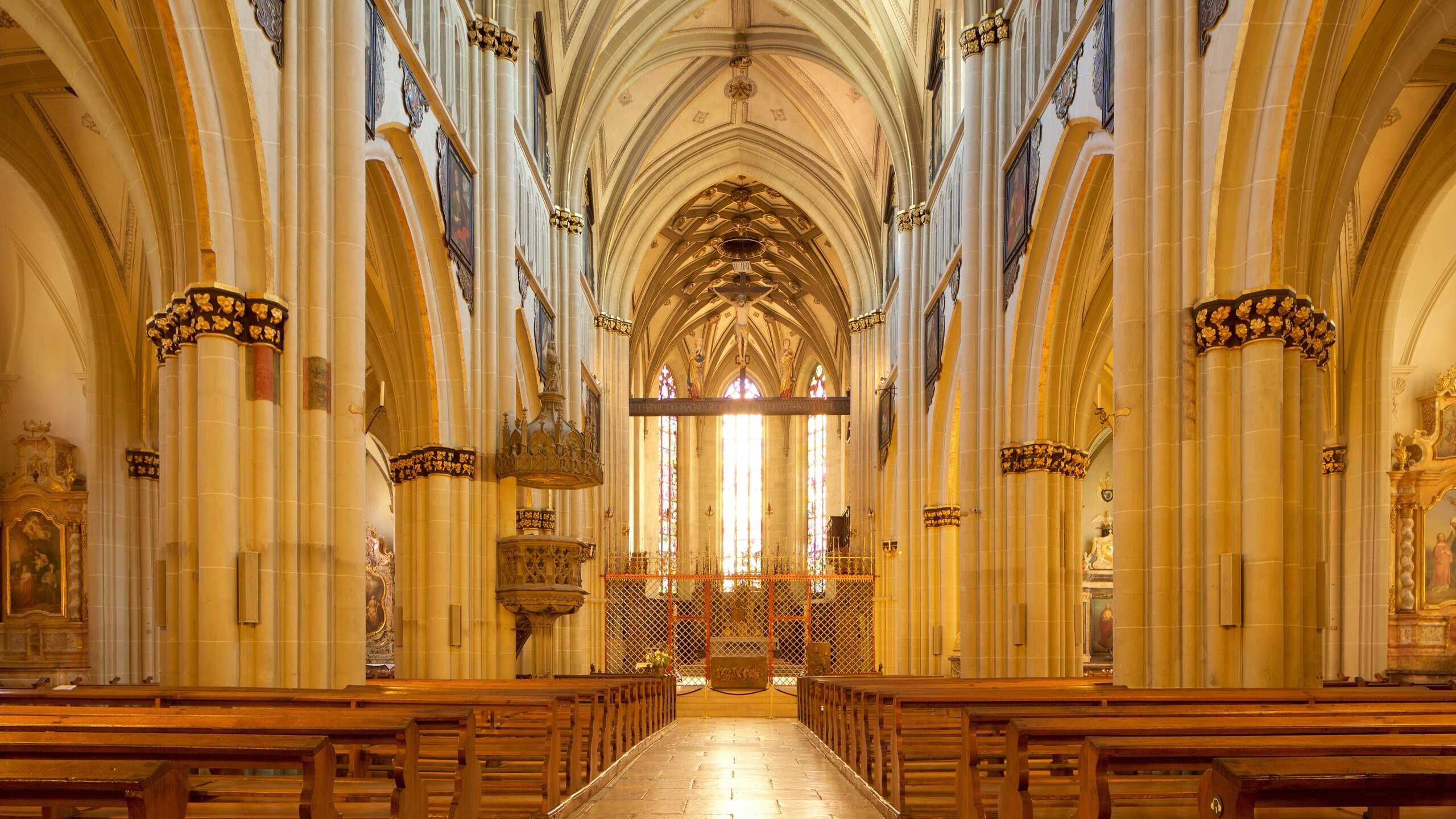 La Cattedrale di San Nicola e San Donato - Discover Tuscia
