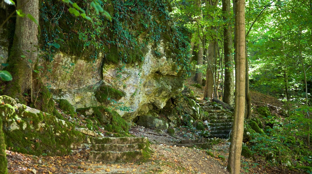 Jardín Botánico de Neuchâtel