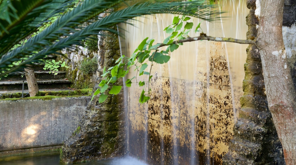 Jardín Botánico de Neuchâtel