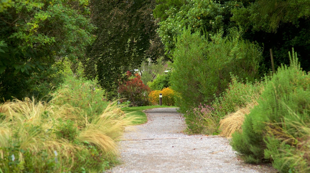 Botanical Garden welches beinhaltet Park