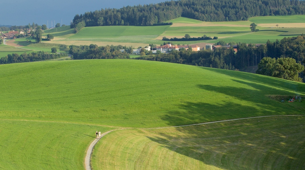 Gurten featuring landscape views and tranquil scenes