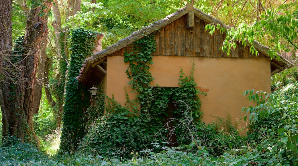 Monasterio de Piedra