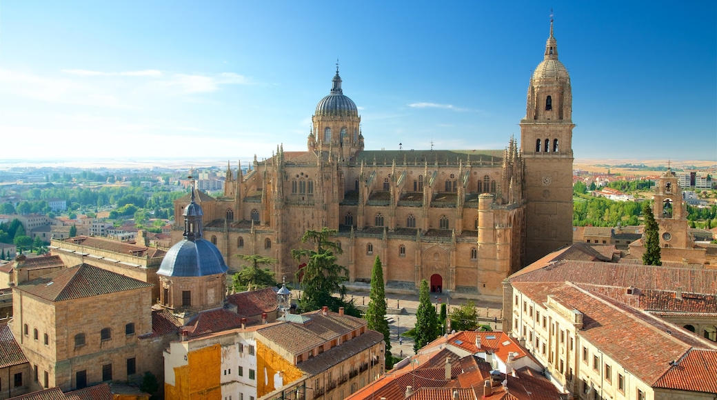 Neue Kathedrale von Salamanca