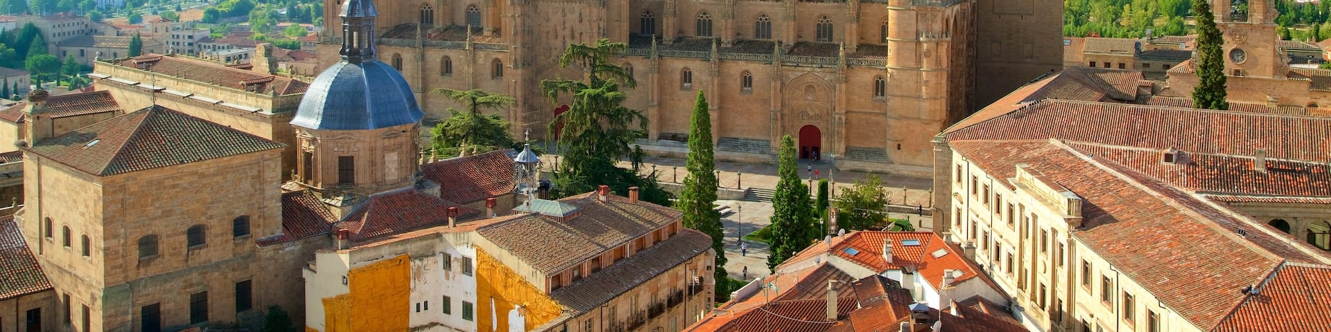 Cathédrale de Salamanque