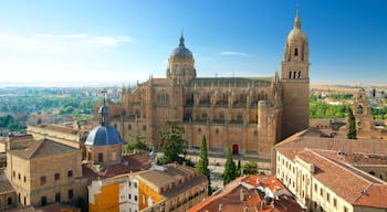 Katedralen i Salamanca