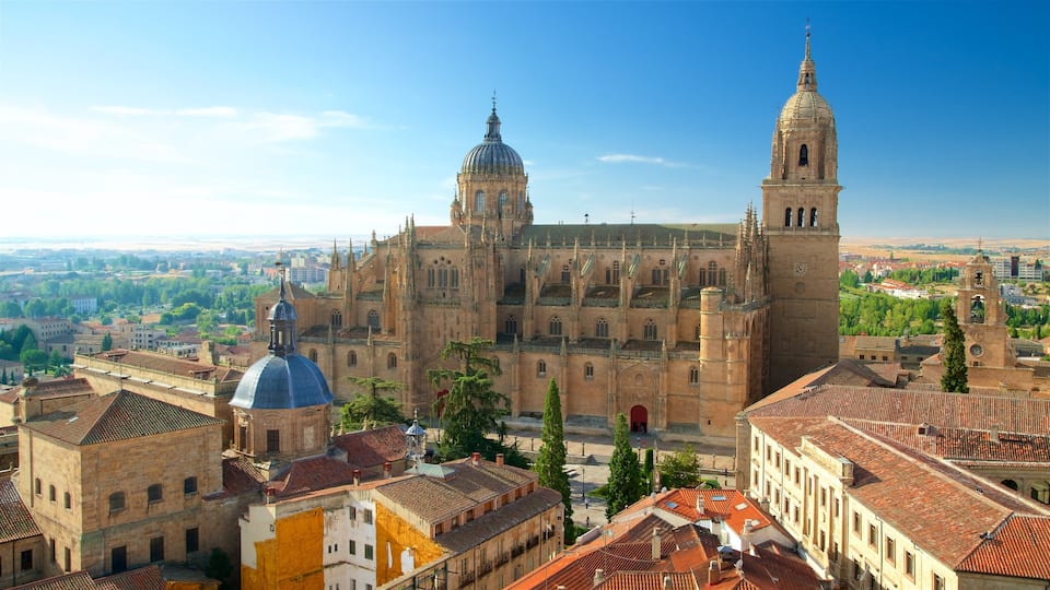 Cathedral of Salamanca