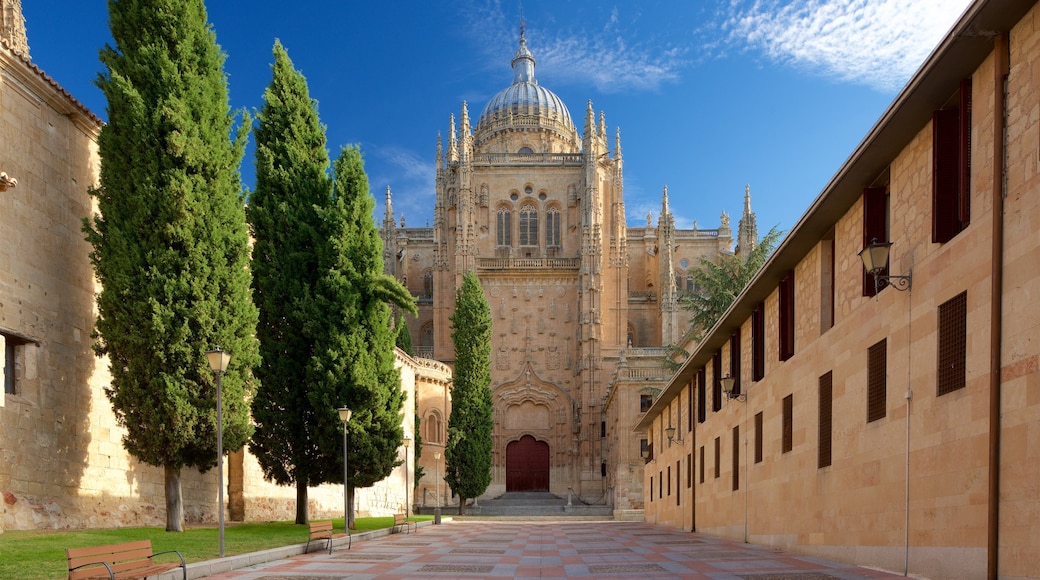 Cathédrale de Salamanque