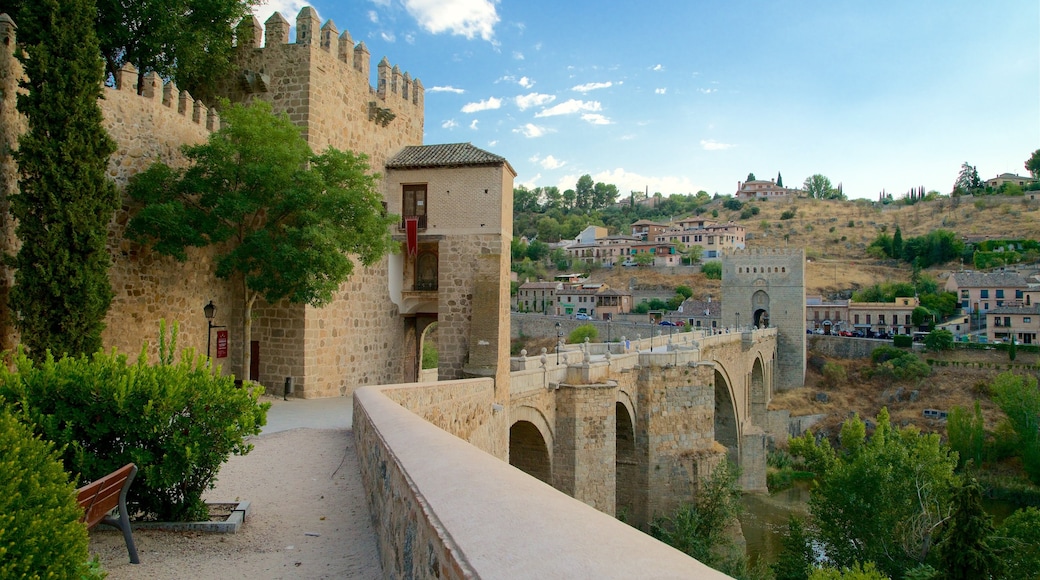 Puente San Martín