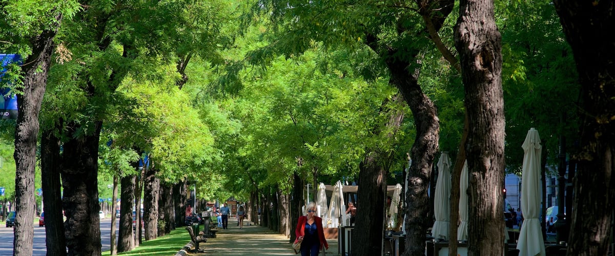 Paseo de la Castellana