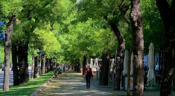 Paseo de la Castellana