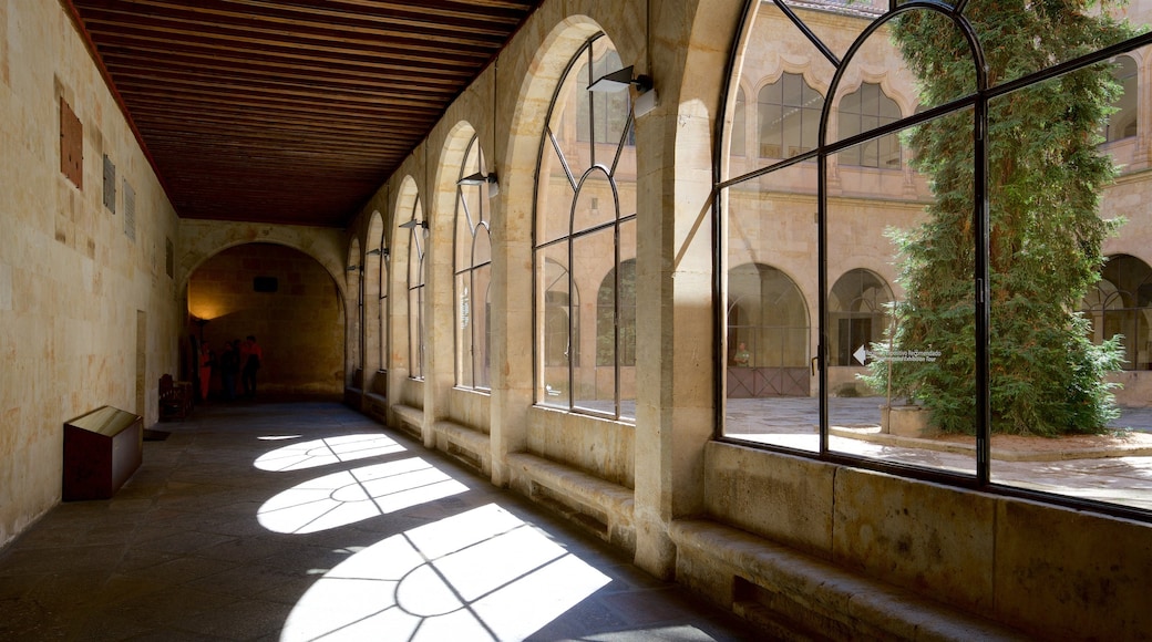 Universiti Salamanca