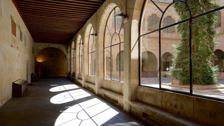 Universiti Salamanca