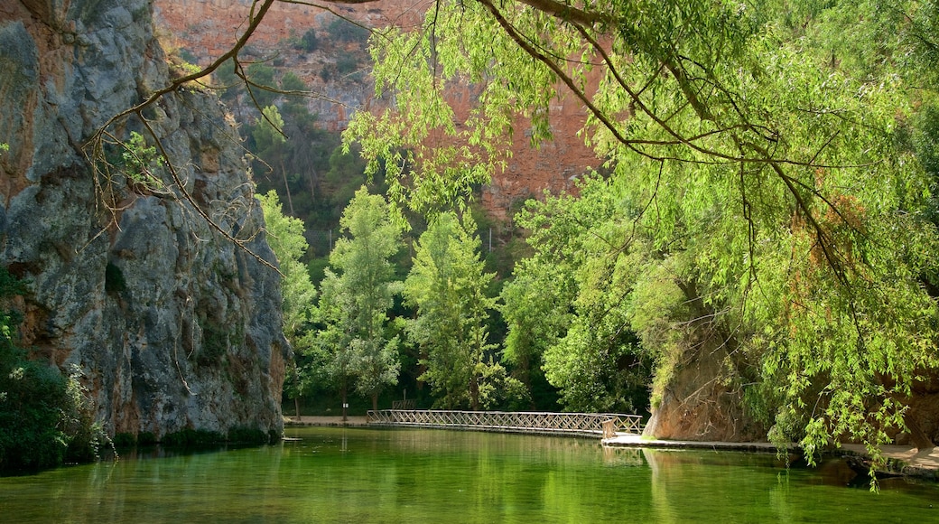 Monasterio de Piedra