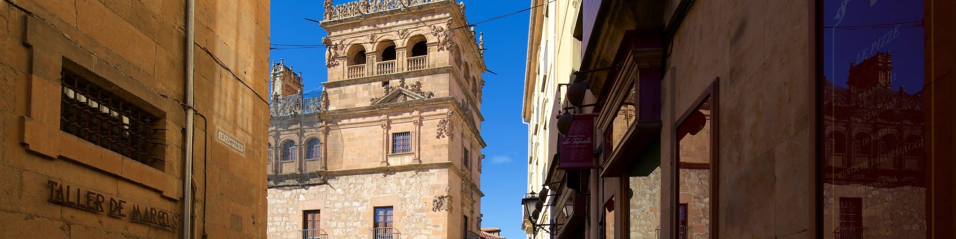 Monterrey Palace