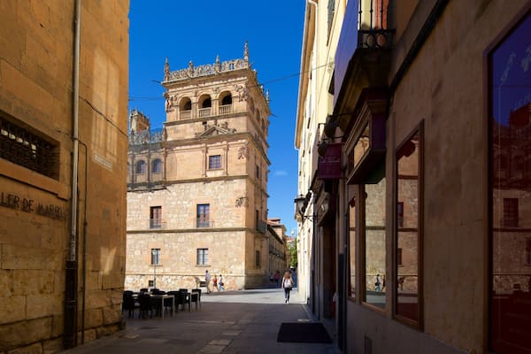Palais de Monterrey