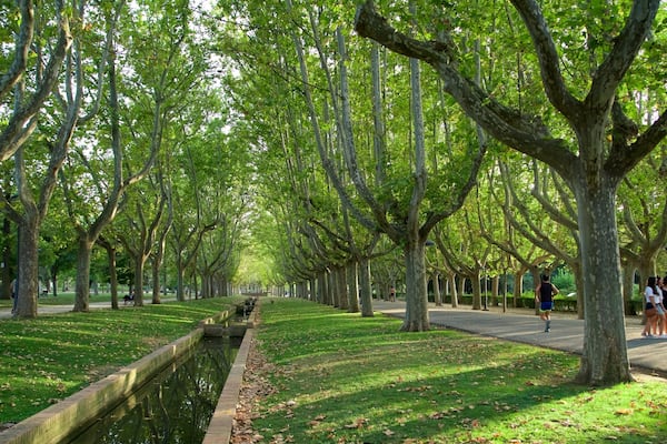 Primo de Rivera Park