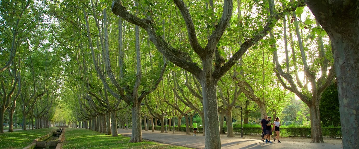 Parque Primo de Rivera
