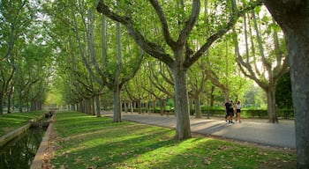 Parque Primo de Rivera