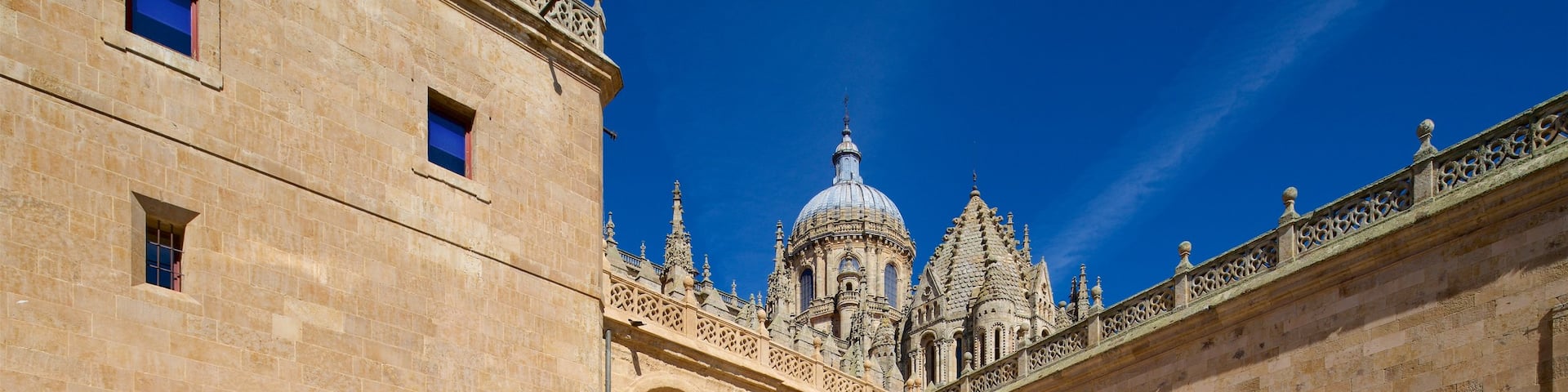 Old Cathedral of Salamanca