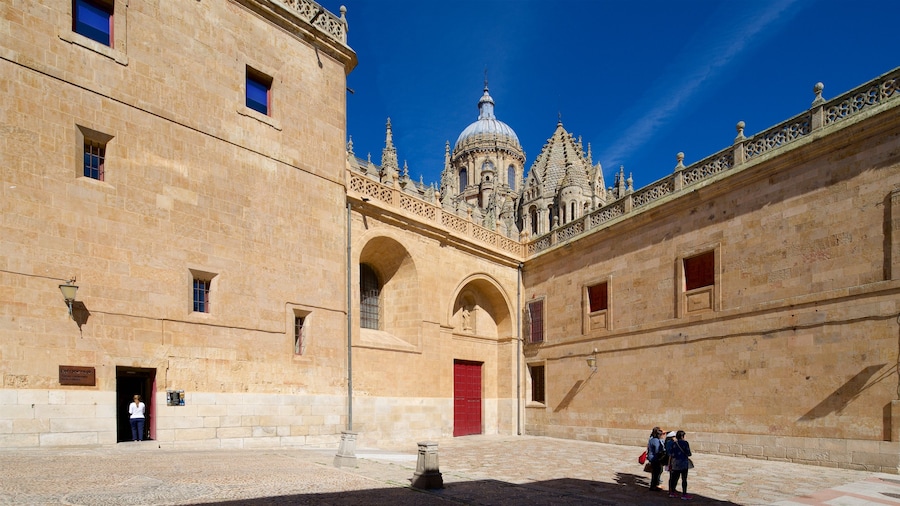 Catedral Vieja de Salamanca