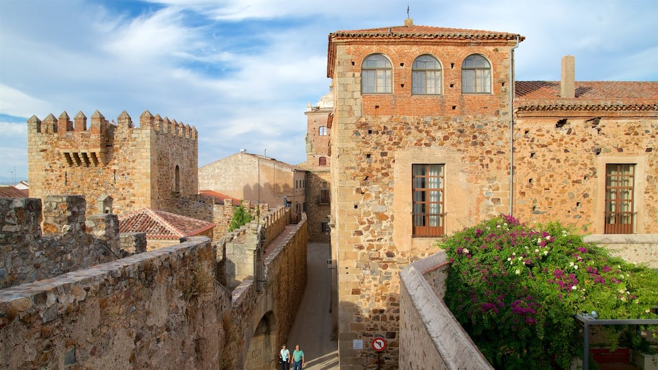 Tower of Bujaco