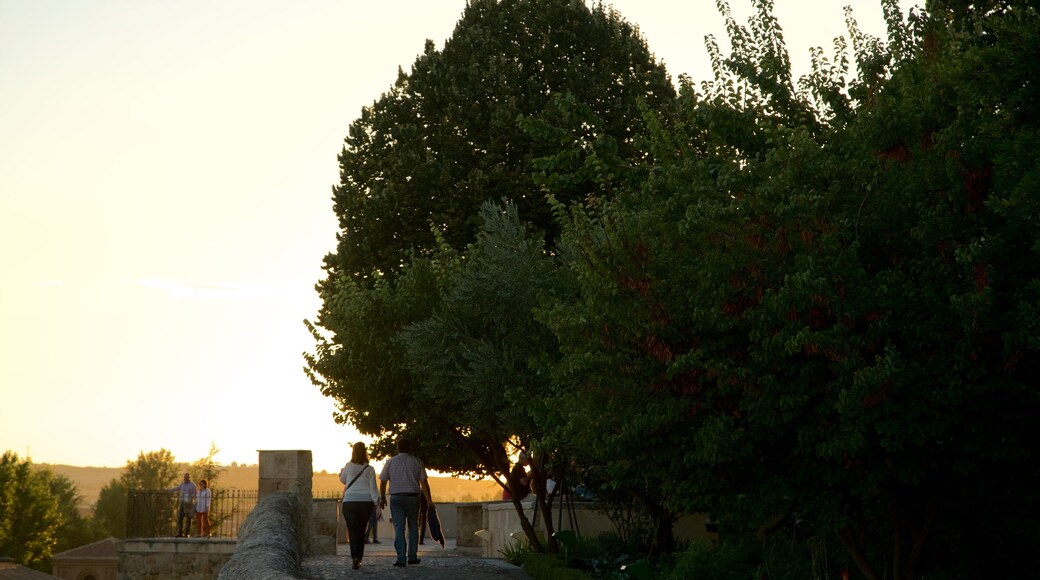 Giardino di Calisto e Melibea mostrando tramonto e vista cosi come coppia