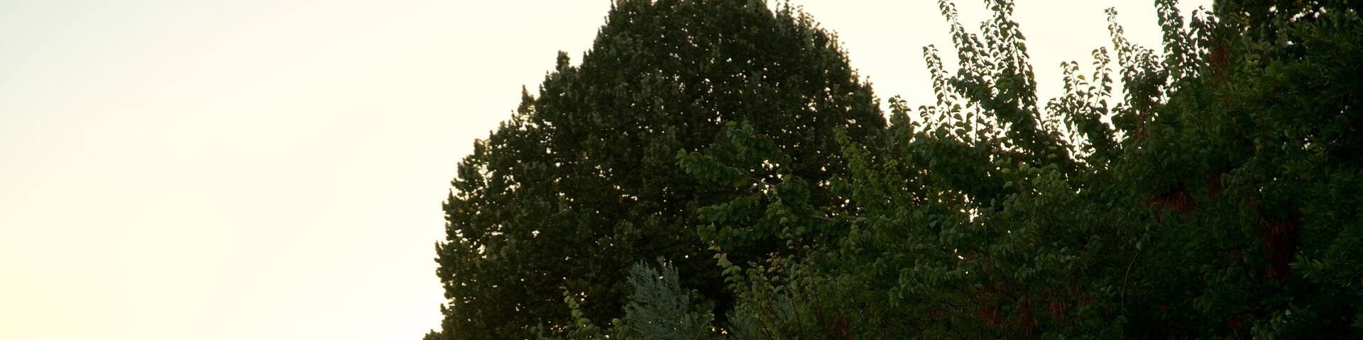 Garden of Calisto and Melibea showing views and a sunset as well as a couple