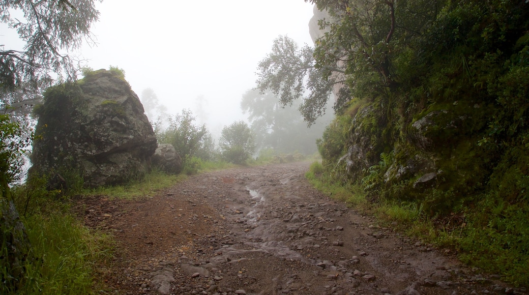 Parque Nacional Mineral del Chico