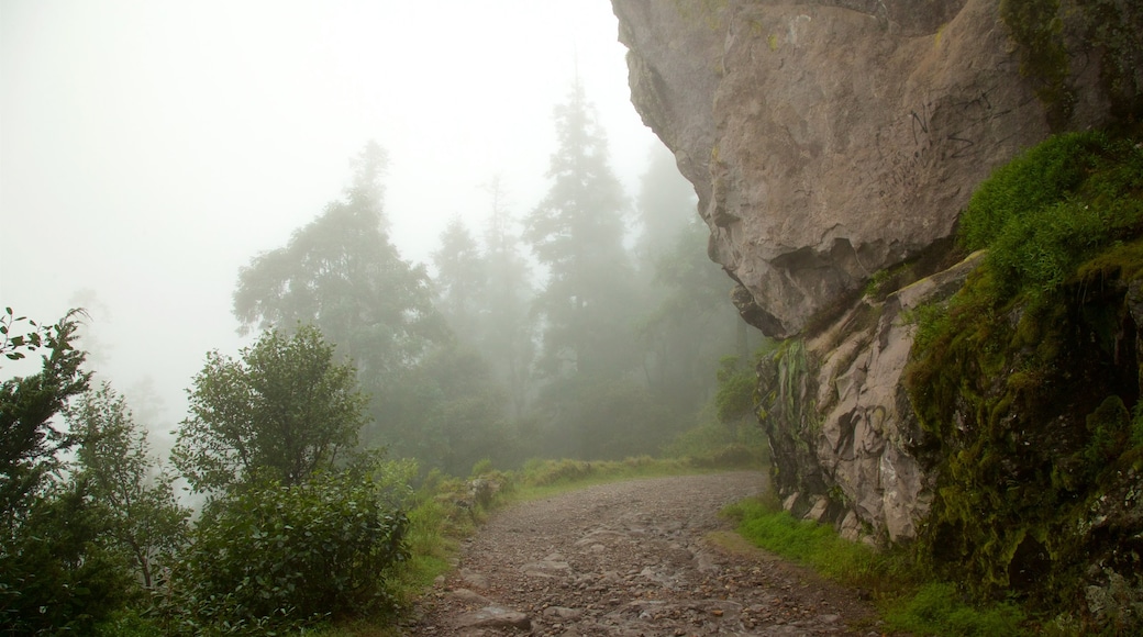 Parque Nacional Mineral del Chico