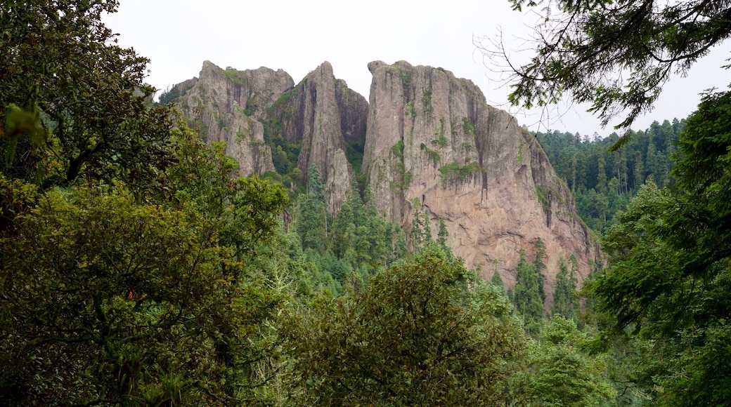 Mineral del Chico featuring tranquil scenes and mountains