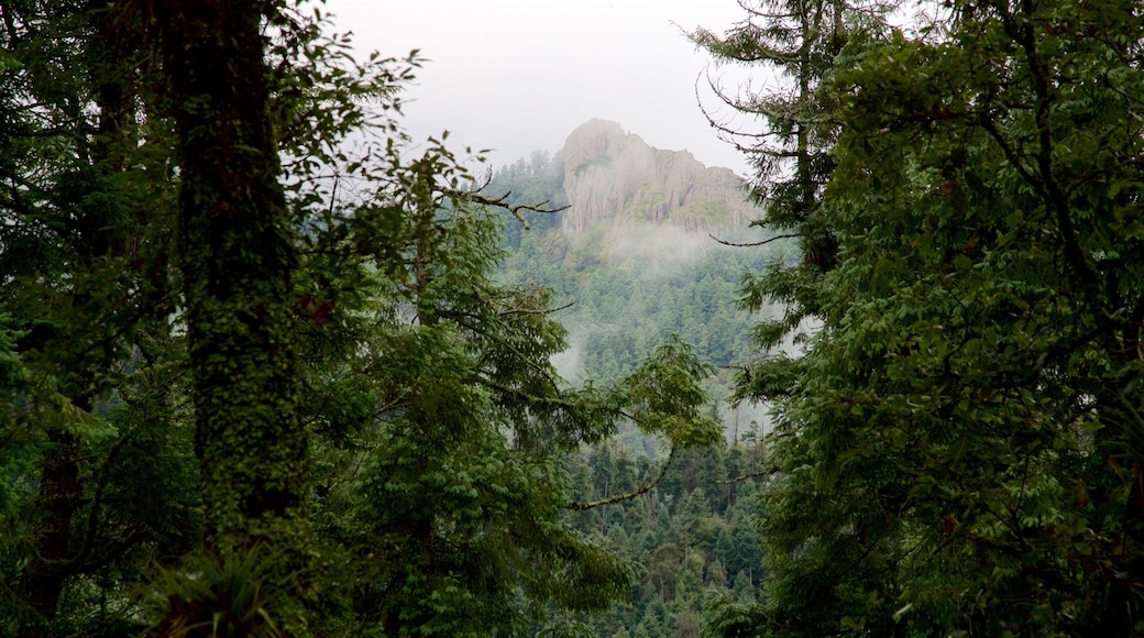 Parque Nacional Mineral del Chico