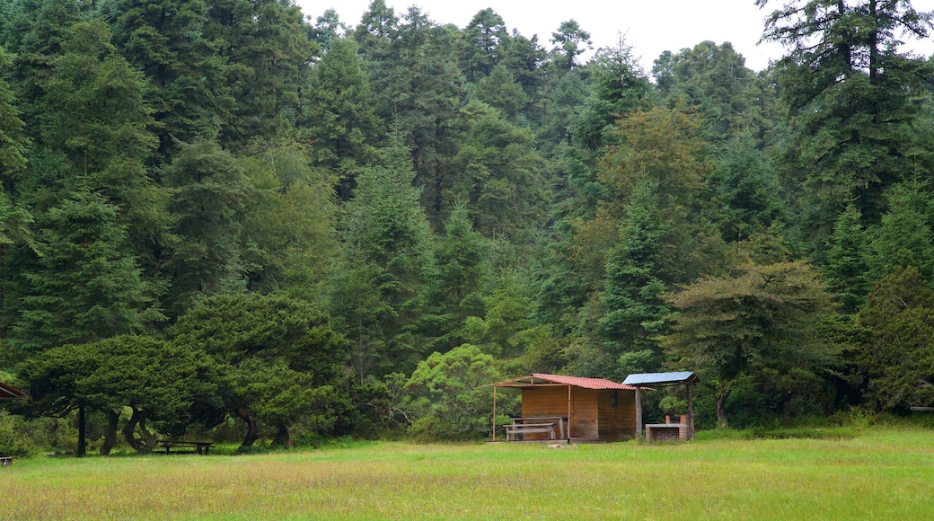 Parque Nacional Mineral del Chico