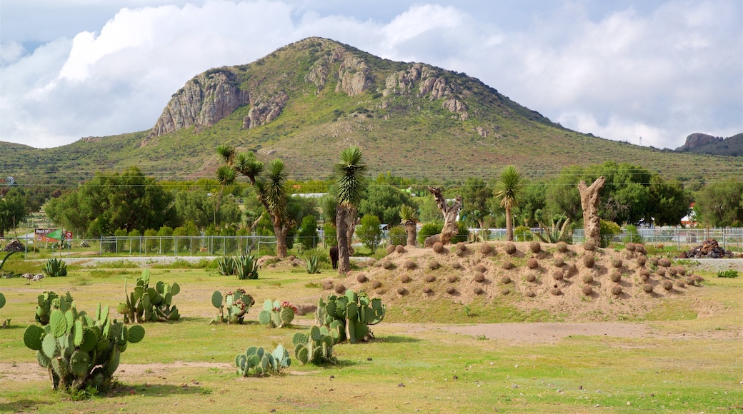 Tuzoofari Zoo