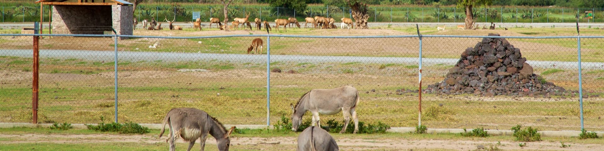 Tuzoofari Zoo