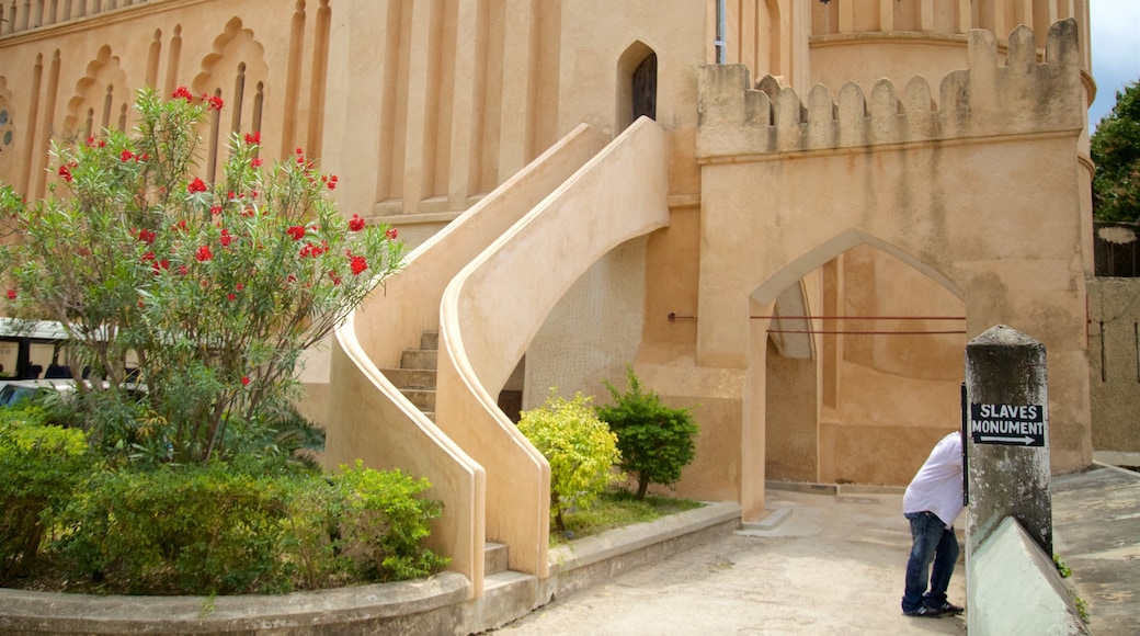 Catedral Anglicana mostrando elementos del patrimonio y flores silvestres